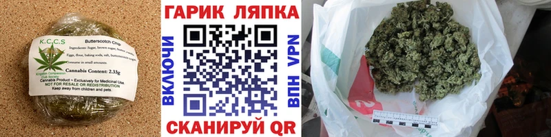 Canna-Cookies марихуана  как найти закладки  Гудермес 