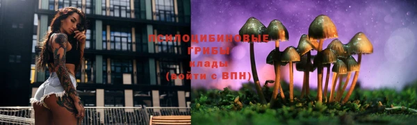 прущая мука Богородицк