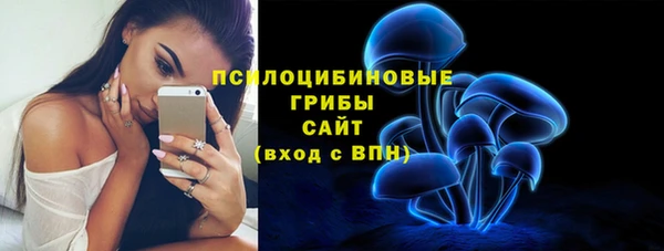 амф Богородск