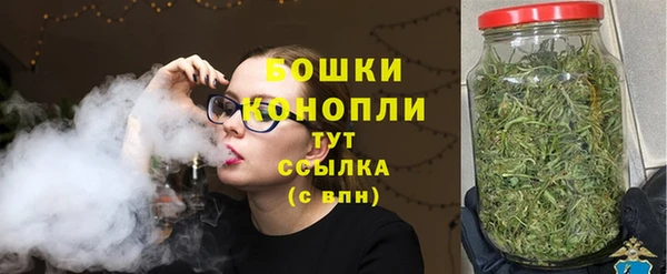 ECSTASY Бикин