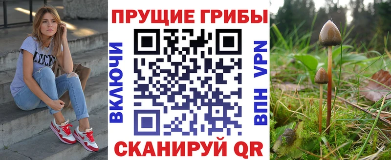darknet клад  Гудермес  Галлюциногенные грибы мицелий  цены наркотик 